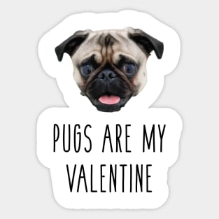 Pugs Are My Valentine Sticker